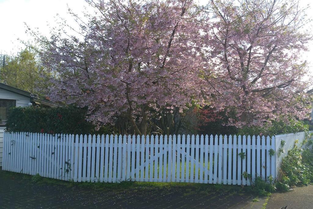 Sweet Guesthouse Waitara Exterior foto