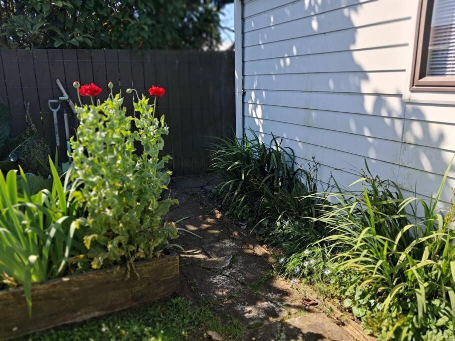 Sweet Guesthouse Waitara Exterior foto